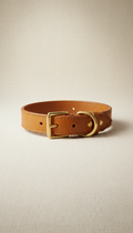 Italian Leather Collar with Polished Brass