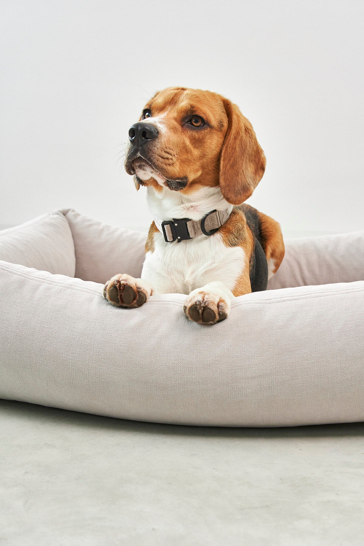 Comodo Dog Bed - MiaCara
