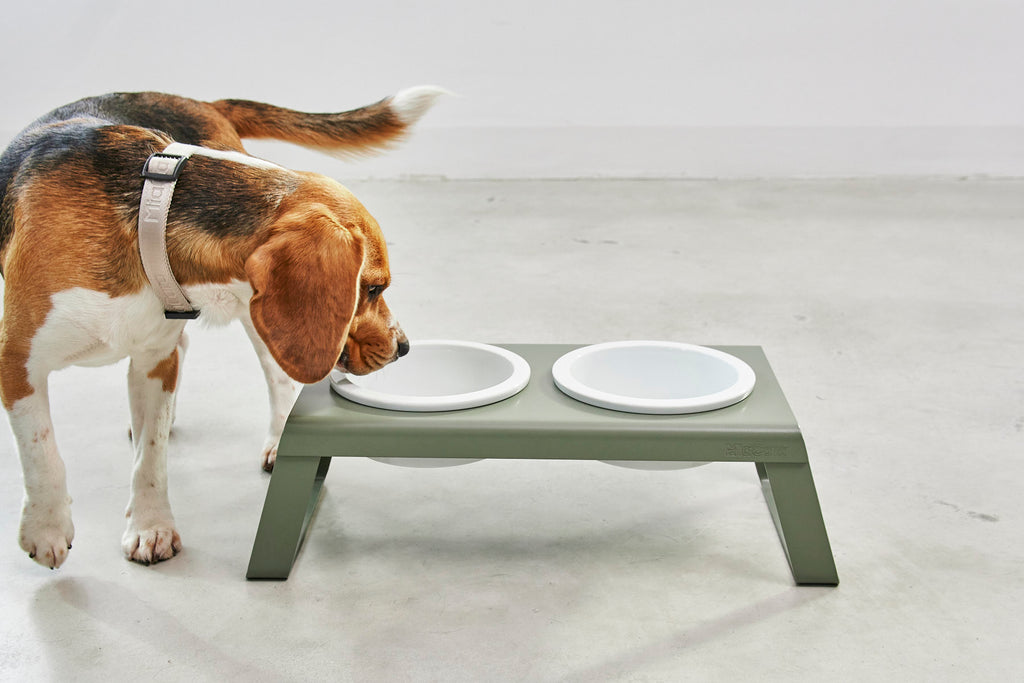 Desco Dog Feeder - MiaCara