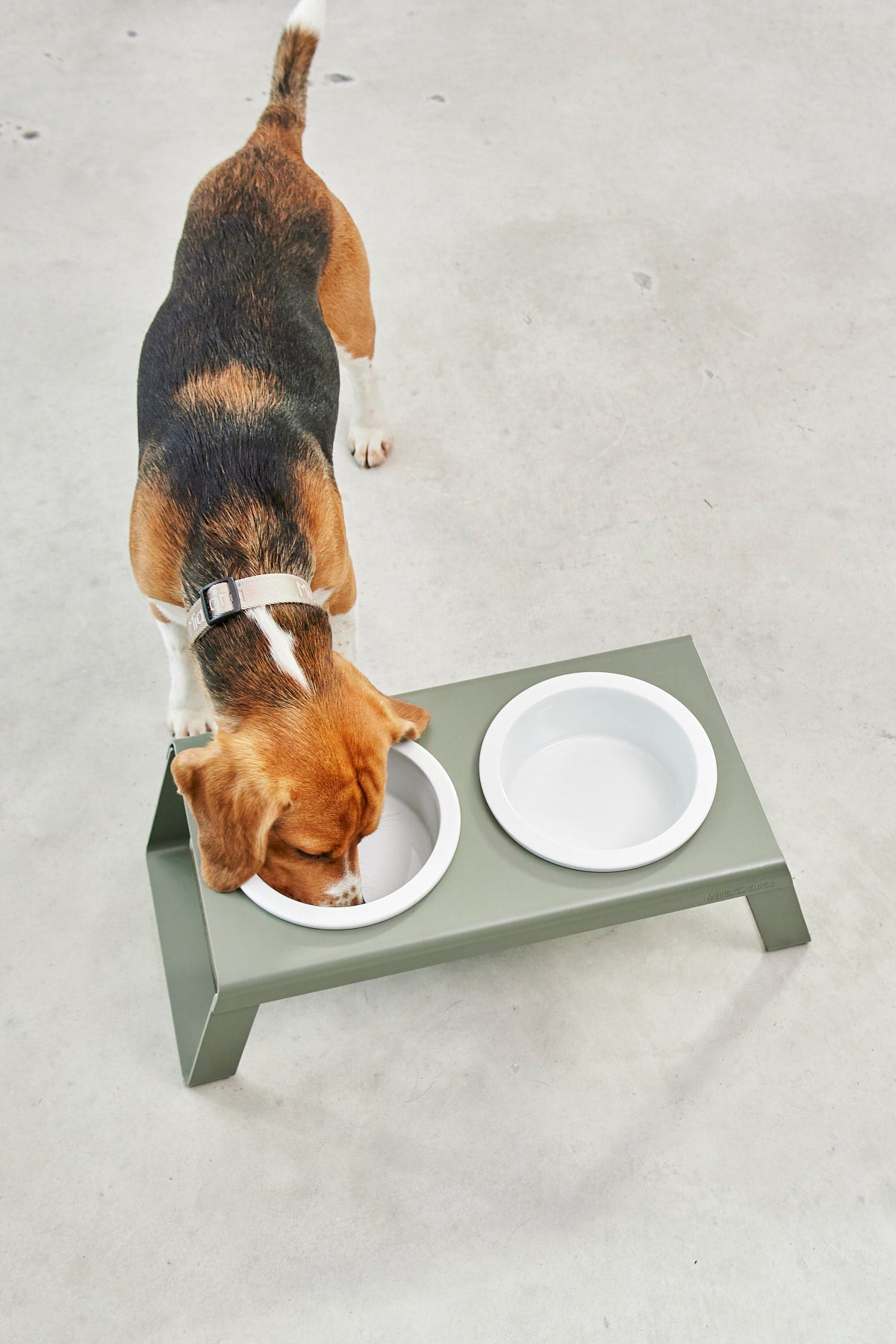 Desco Dog Feeder - MiaCara