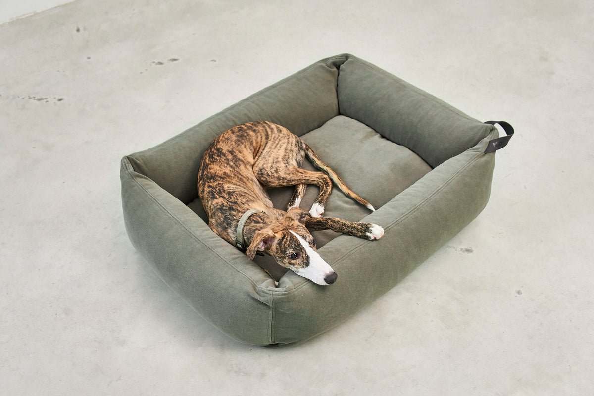 Comodo Dog Bed - MiaCara