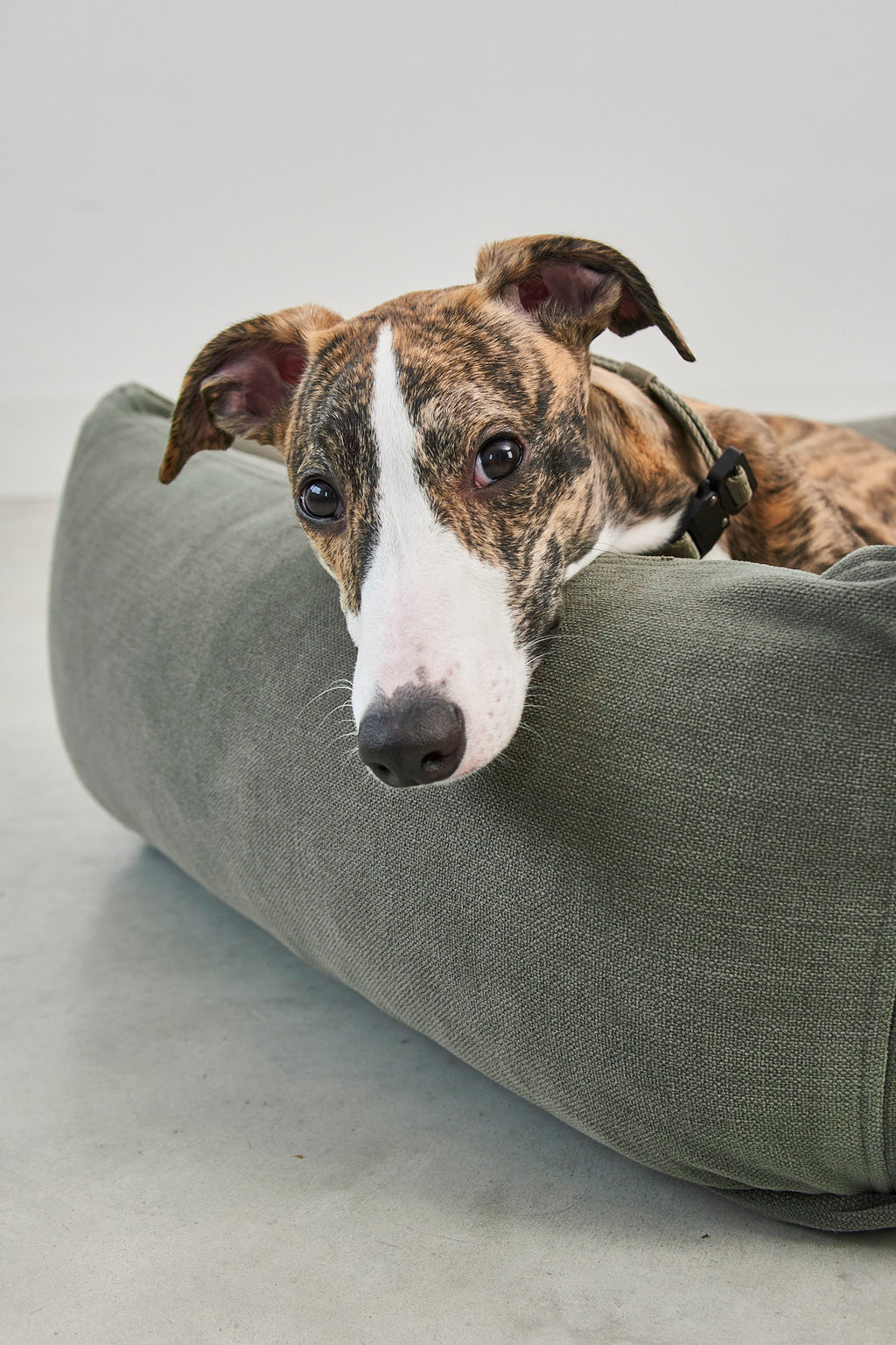 Comodo Dog Bed - MiaCara