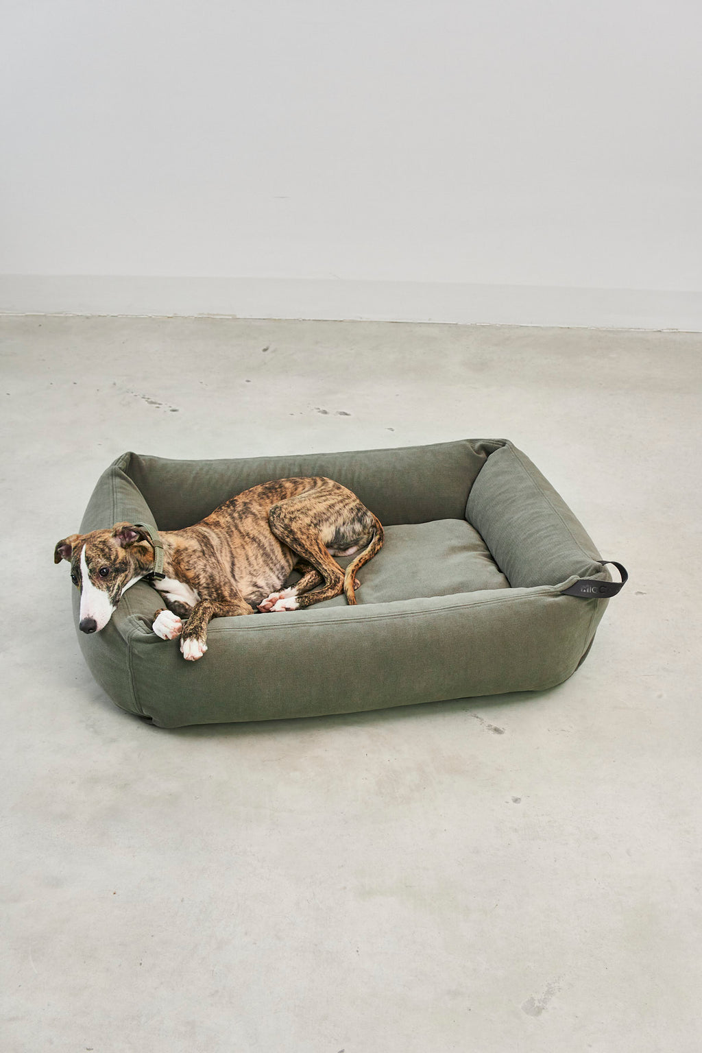Comodo Dog Bed - MiaCara