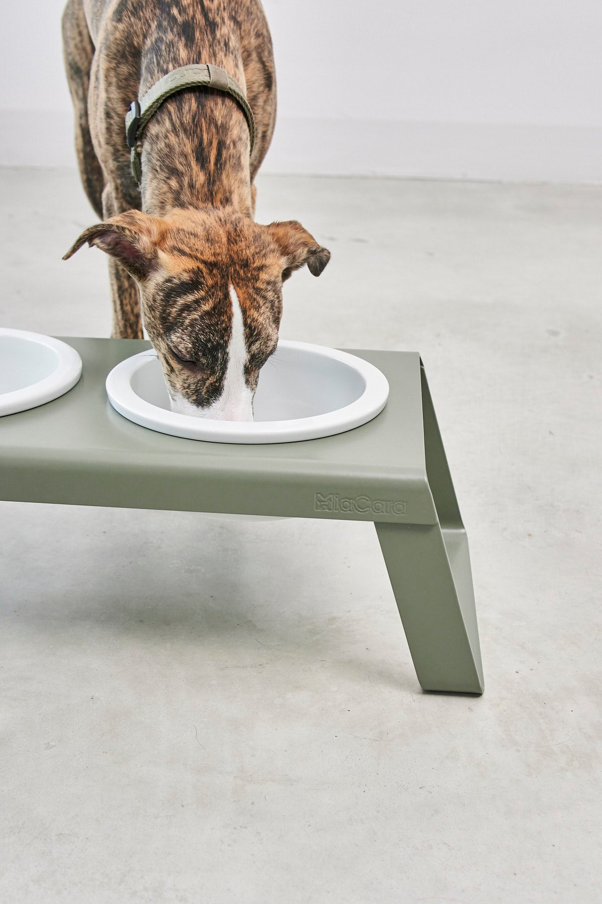 Desco Dog Feeder - MiaCara