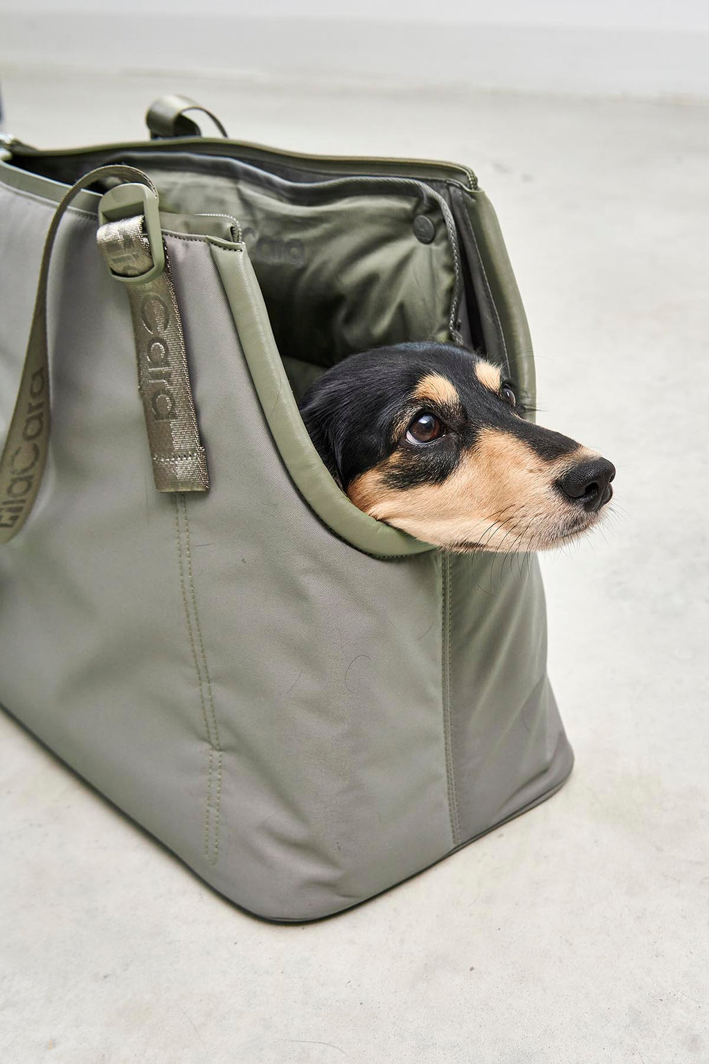 Sporta Travel Dog Carrier - MiaCara