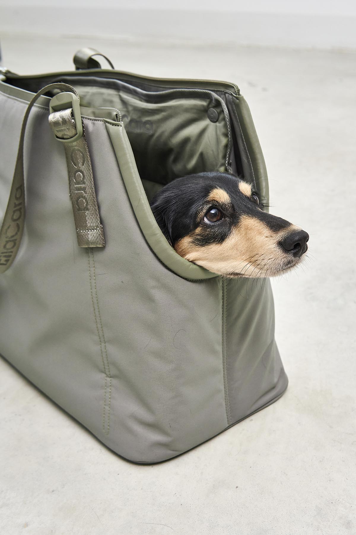 Sporta Travel Dog Carrier - MiaCara