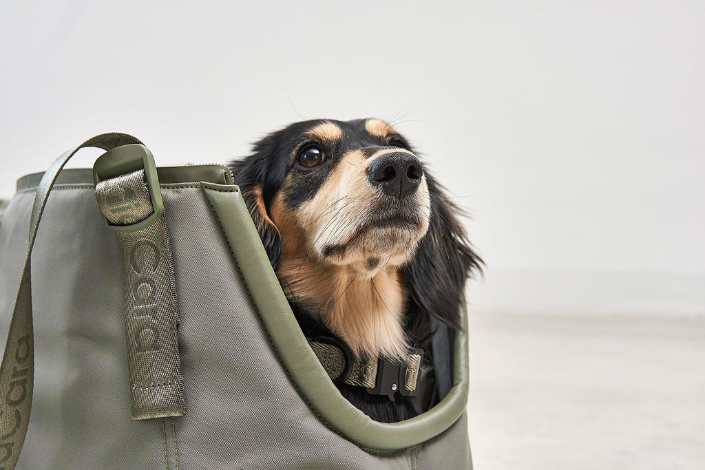 Sporta Travel Dog Carrier - MiaCara