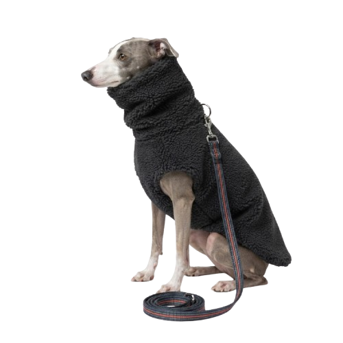 Woolen Dog Vest - Charcoal