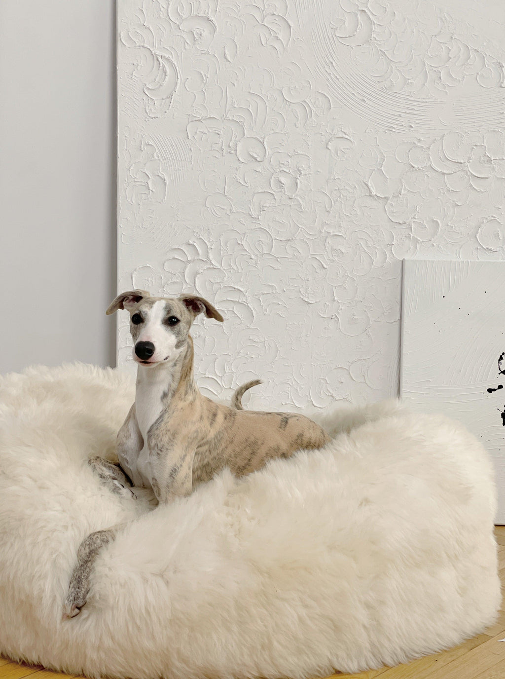 Natural Sheepskin Pet Bed - White