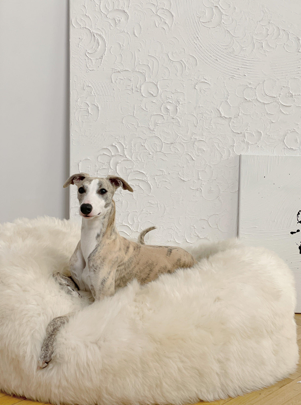 Natural Sheepskin Pet Bed - White