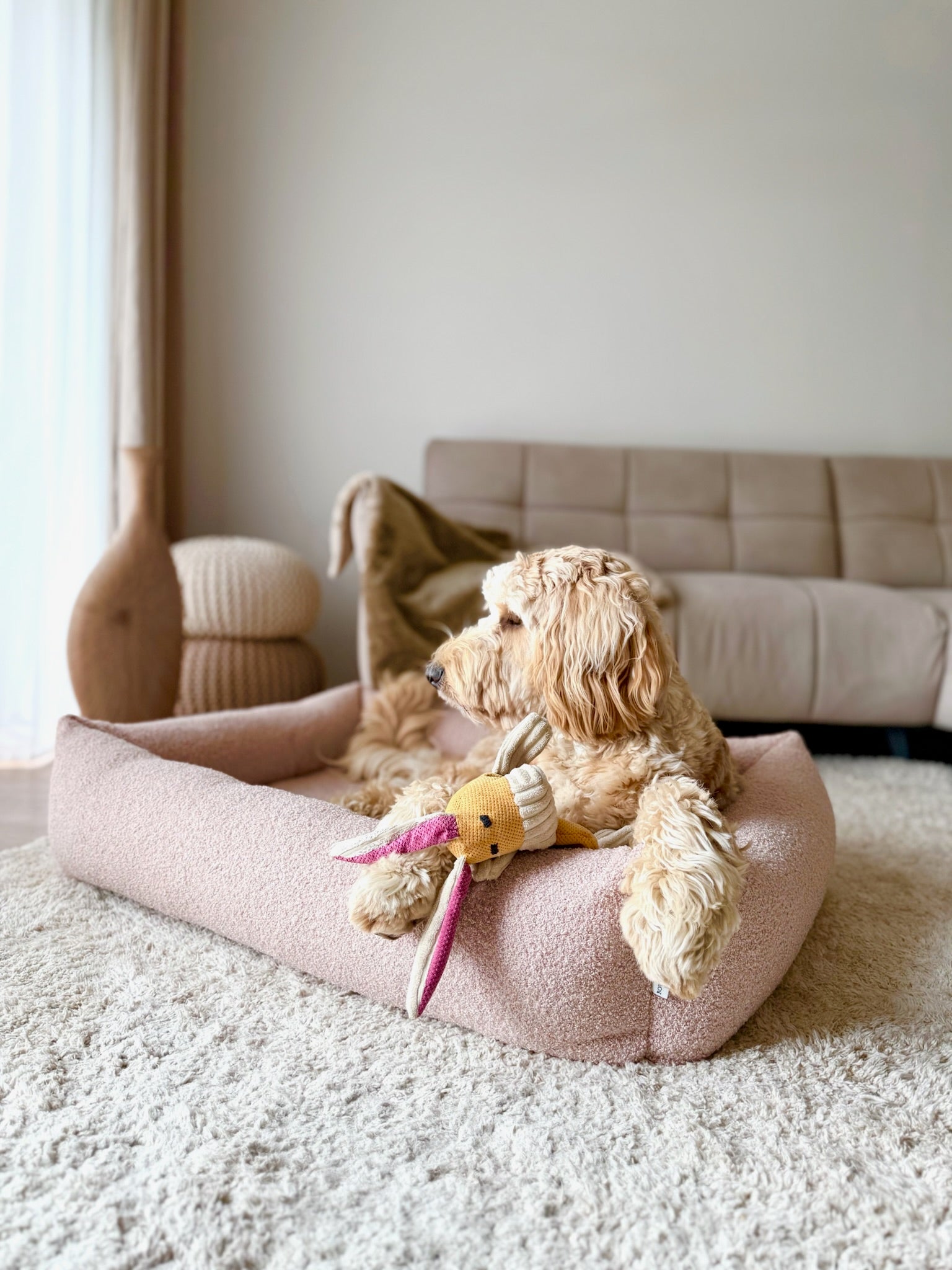 Harmony Dog Bed