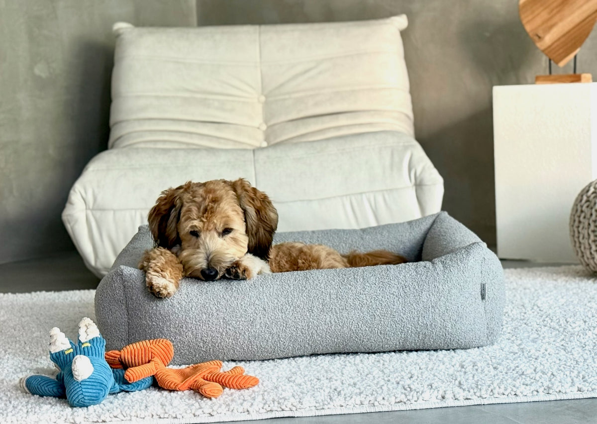 Harmony Dog Bed