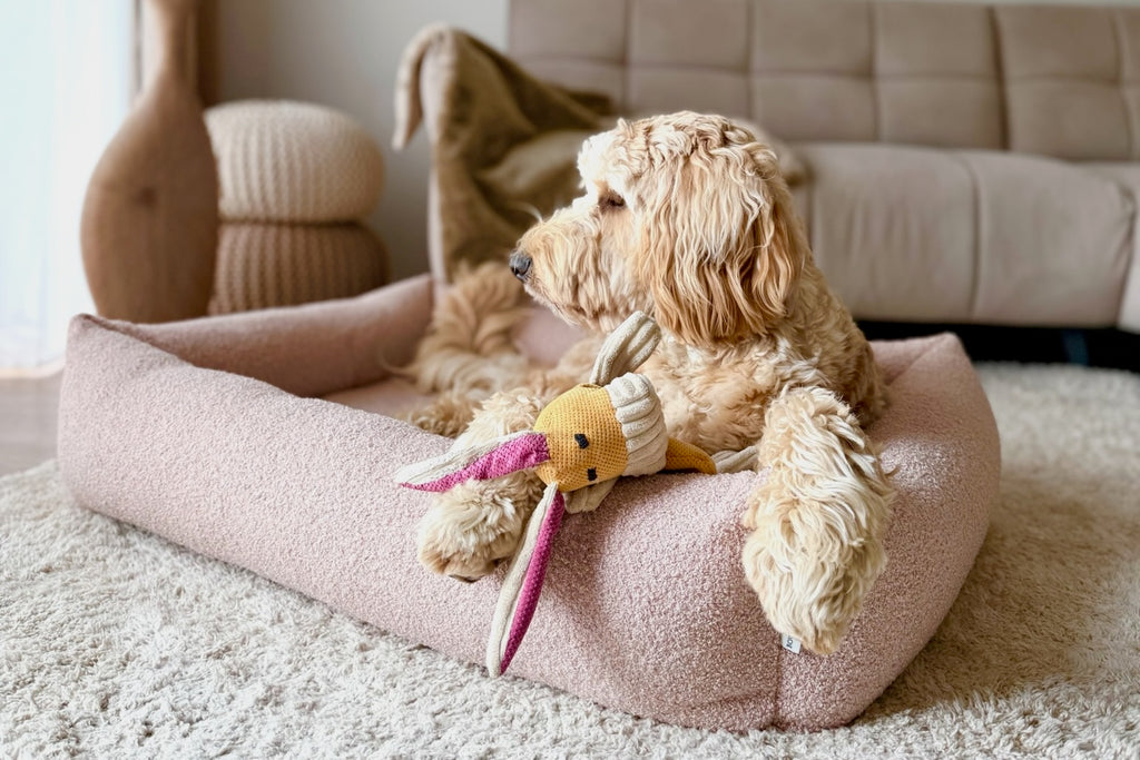 Harmony Dog Bed