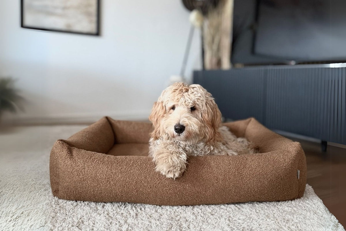 Harmony Dog Bed