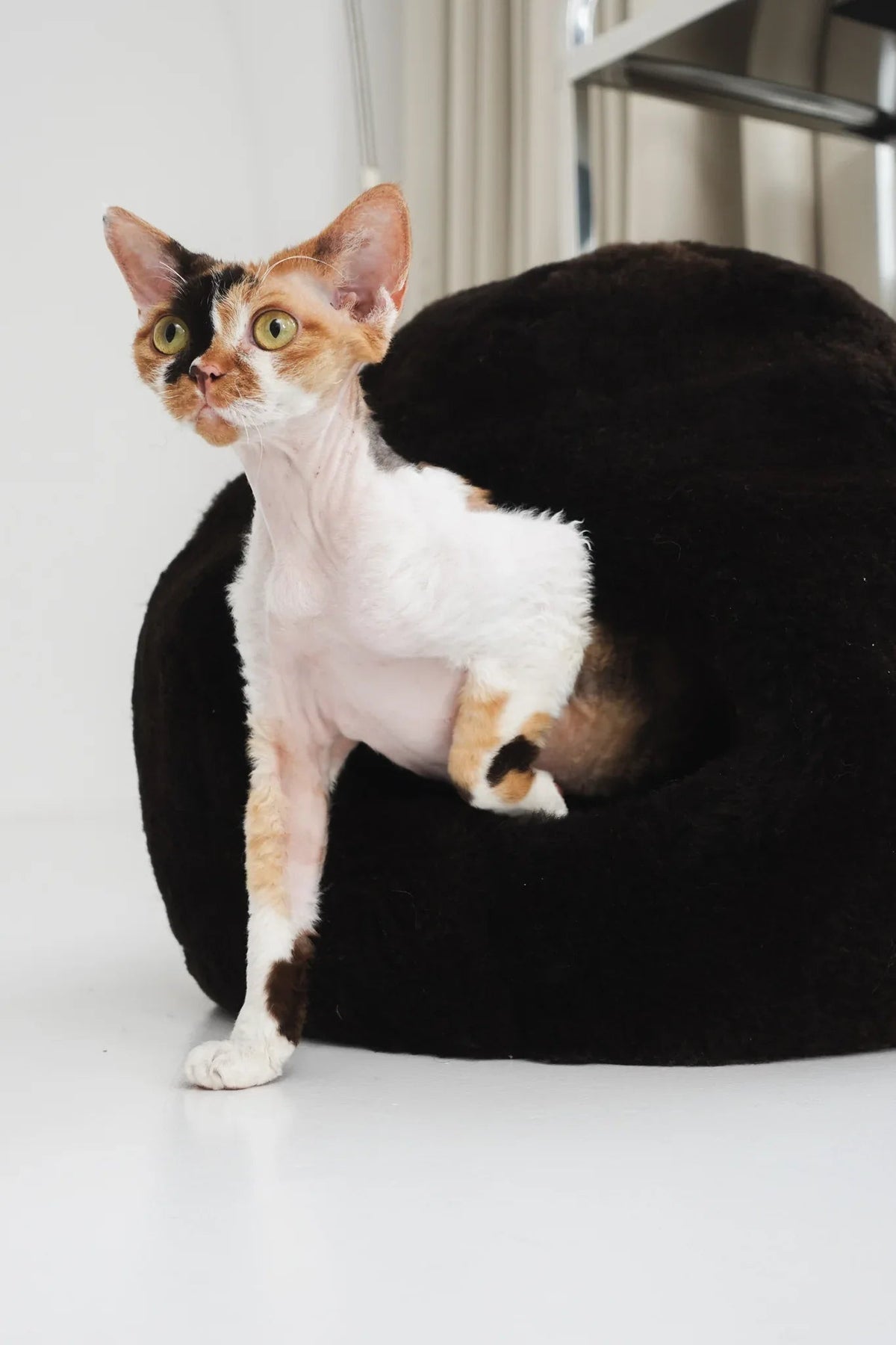 Natural Sheepskin Pet Nest - Brown