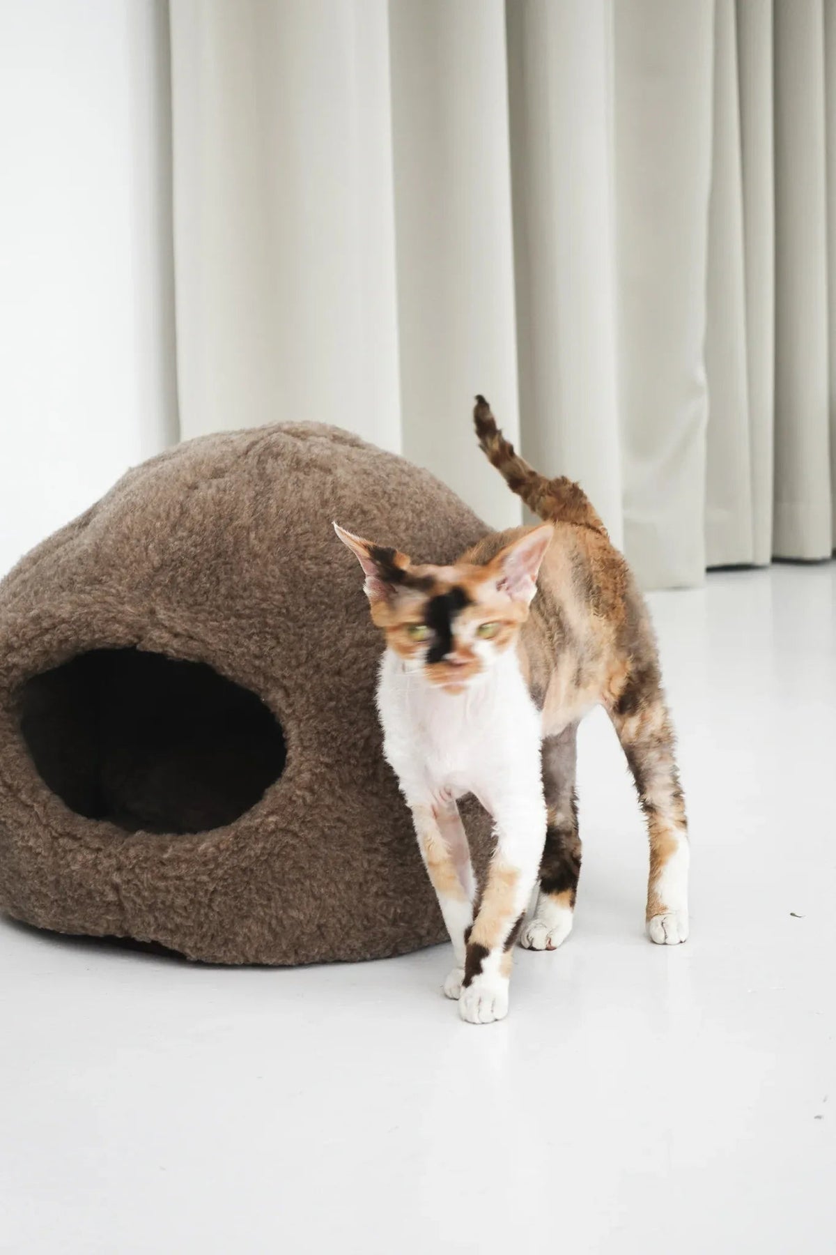 Natural Sheepskin Pet Nest - Beige