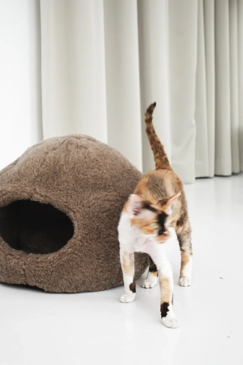 Natural Sheepskin Pet Nest - Beige