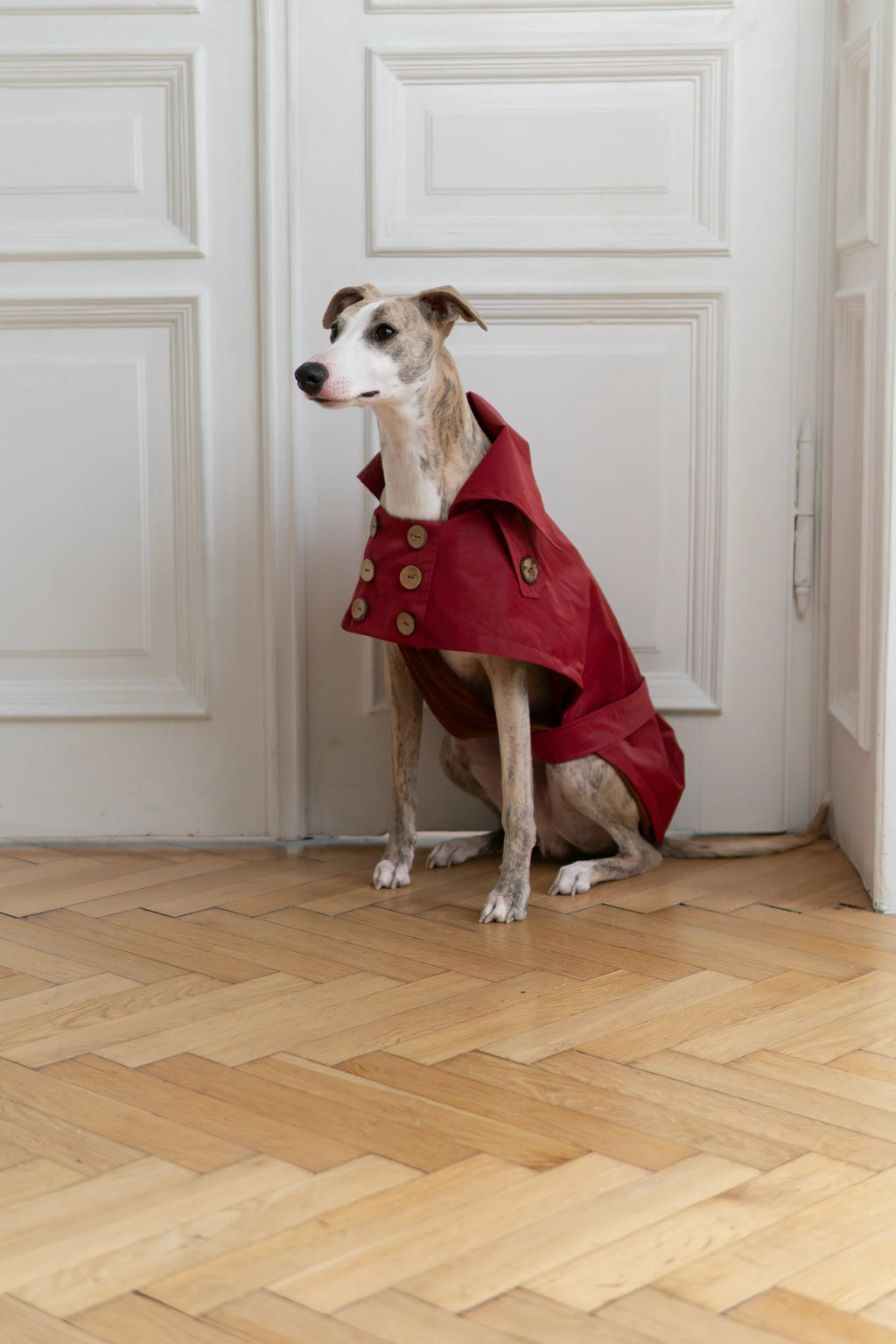 Water Repellent Trench Coat - Burgundy Red