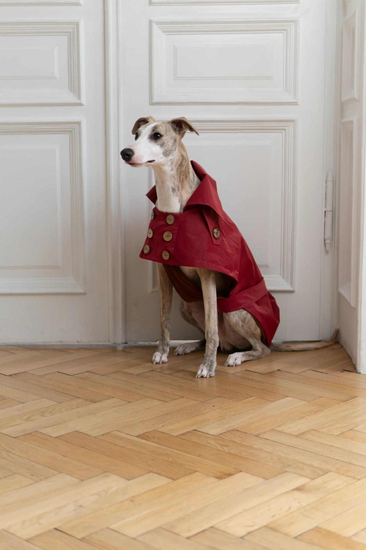 Water Repellent Trench Coat - Burgundy Red