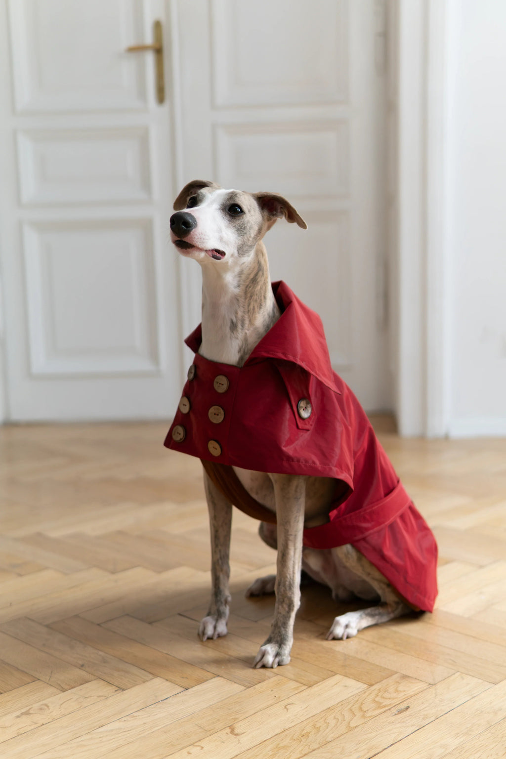Water Repellent Trench Coat - Burgundy Red