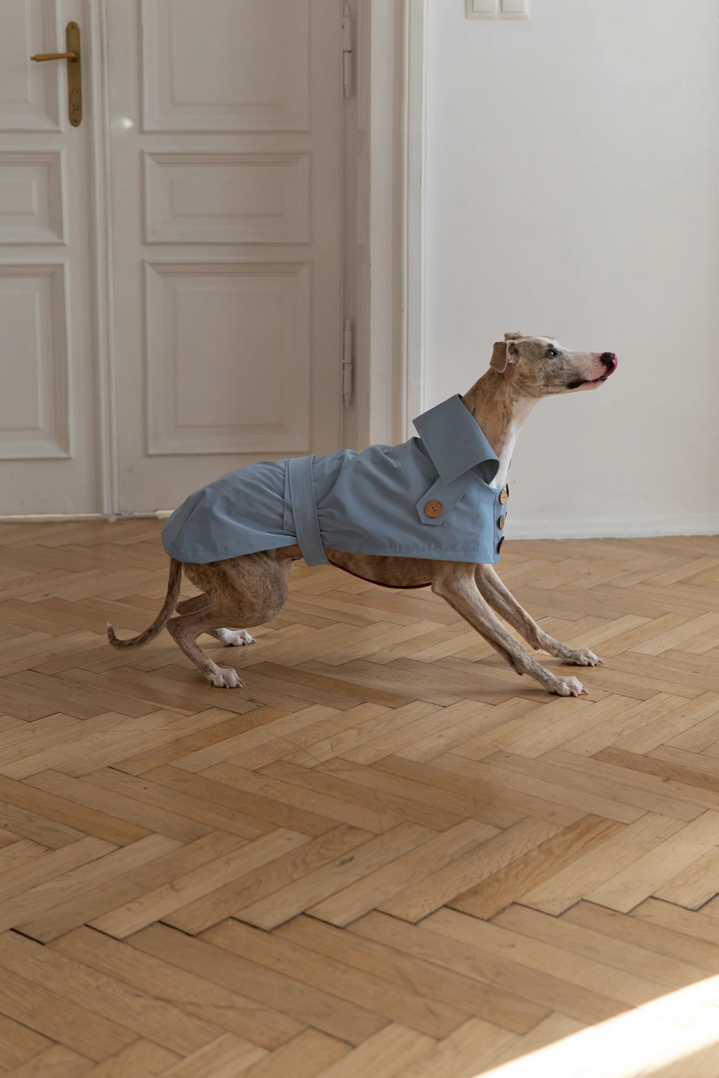 Water Repellent Trench Coat - Light Blue
