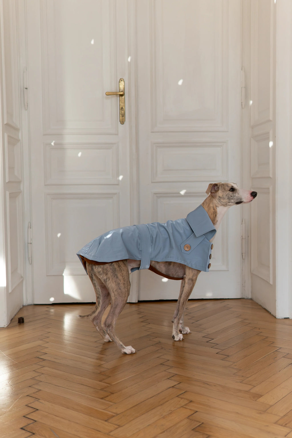 Water Repellent Trench Coat - Light Blue