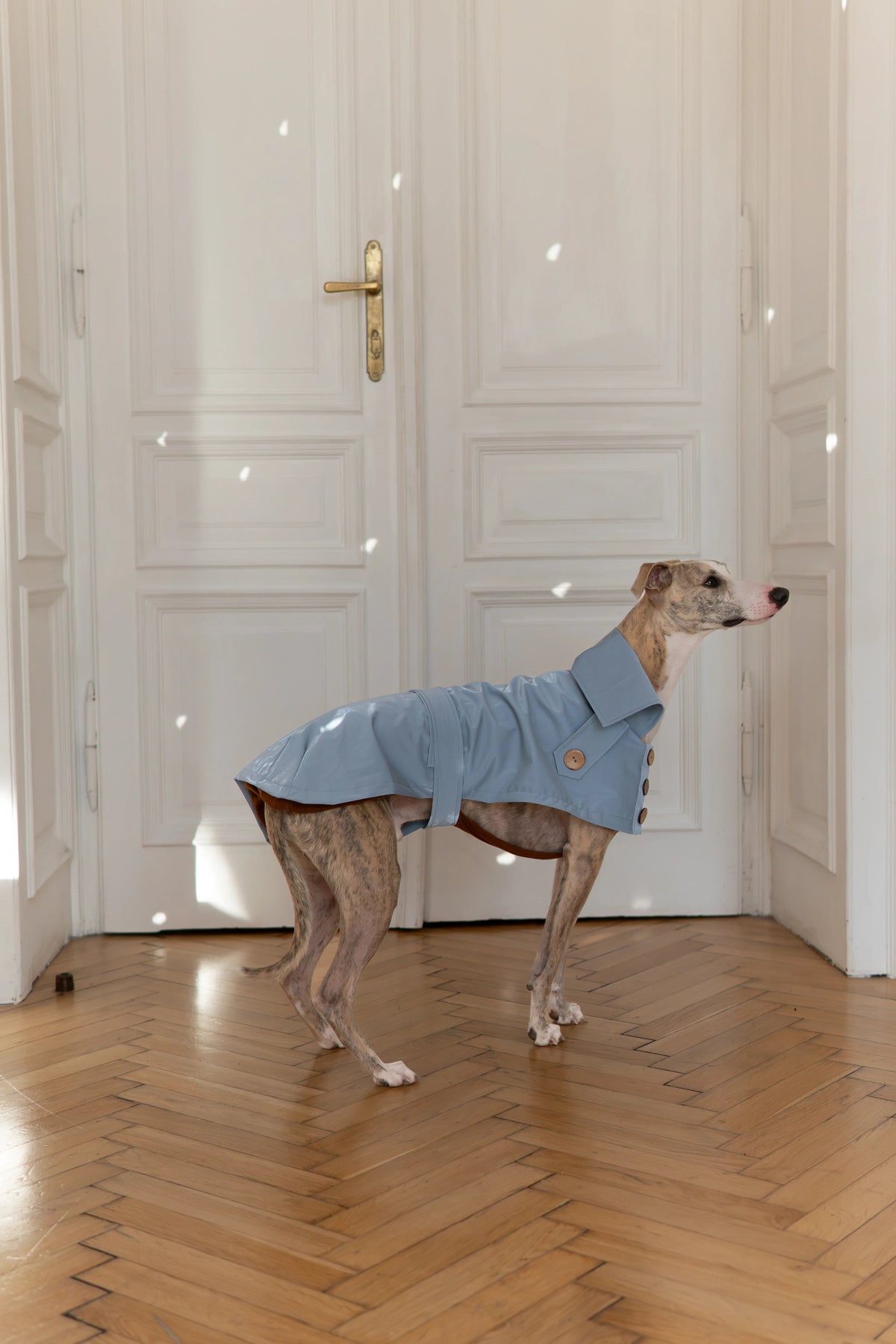 Water Repellent Trench Coat - Light Blue