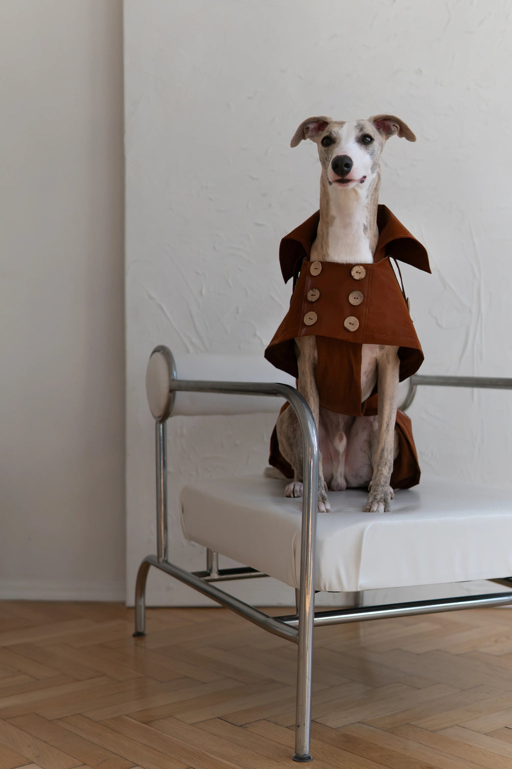 Water Repellent Trench Coat - Chocolate Brown