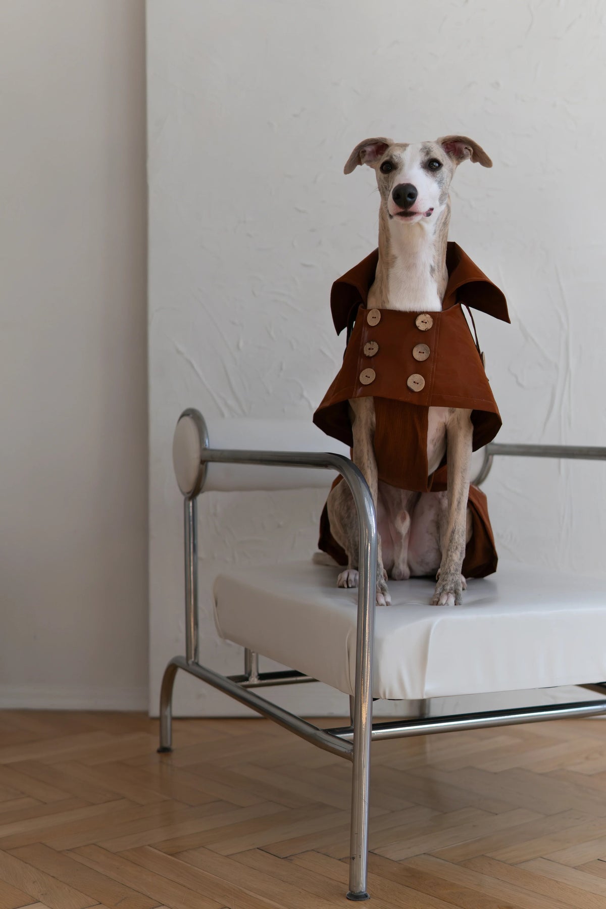 Water Repellent Trench Coat - Chocolate Brown