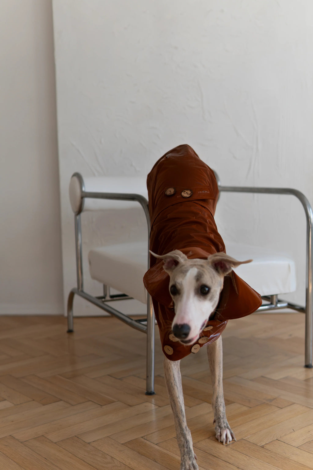 Water Repellent Trench Coat - Chocolate Brown