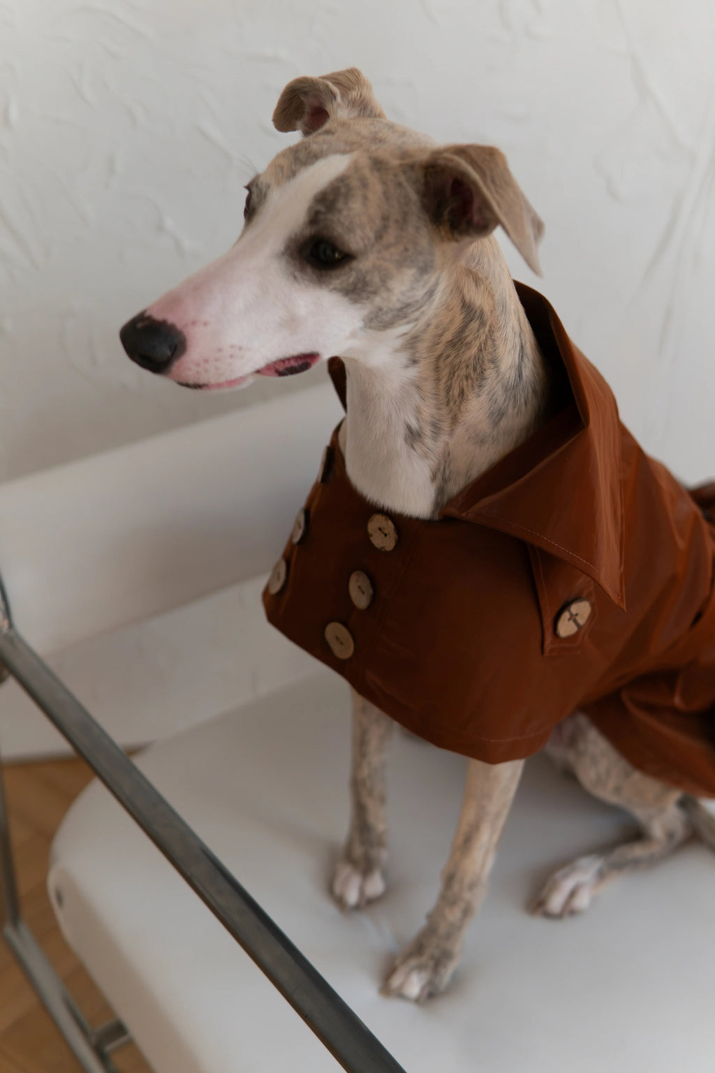 Water Repellent Trench Coat - Chocolate Brown