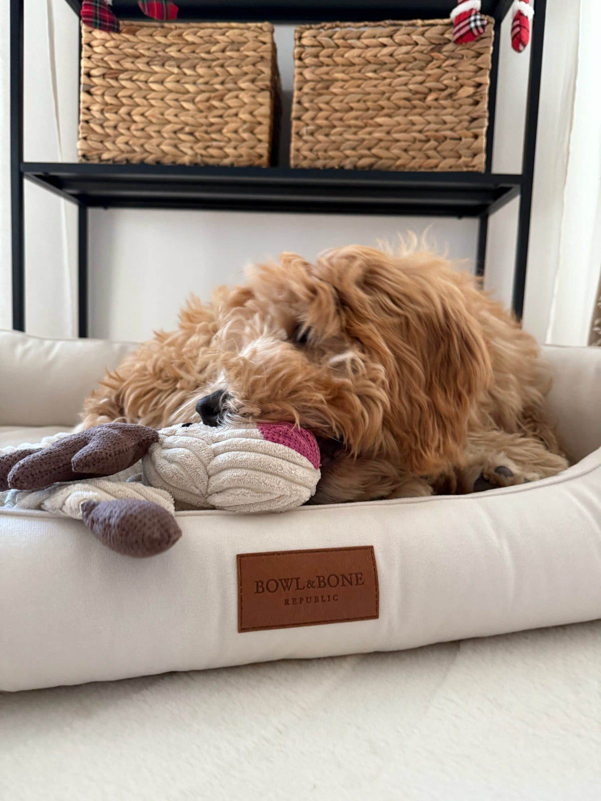 Classic Dog Bed