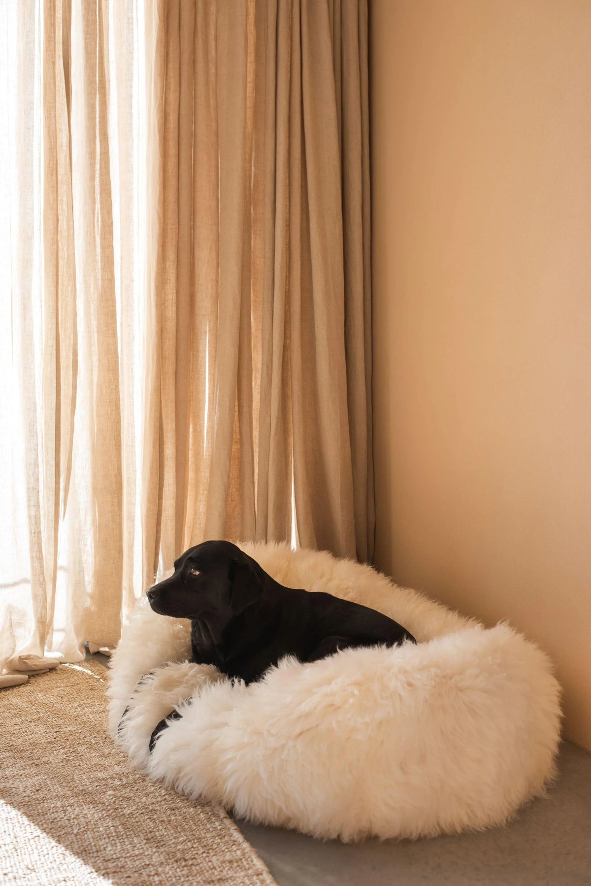 Natural Sheepskin Pet Bed - White