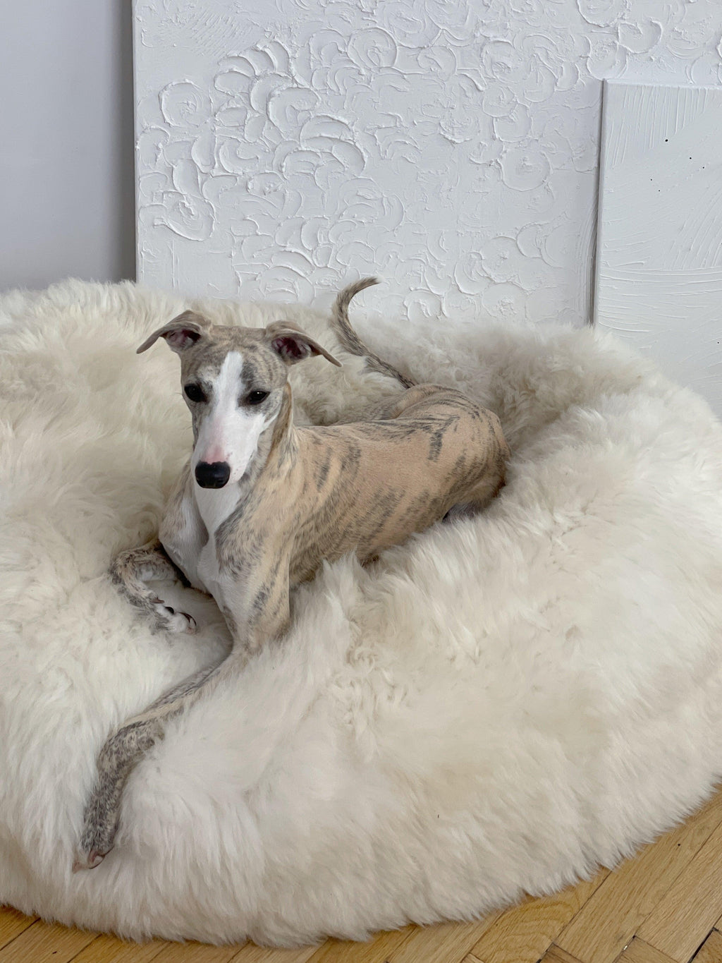 Natural Sheepskin Pet Bed - White