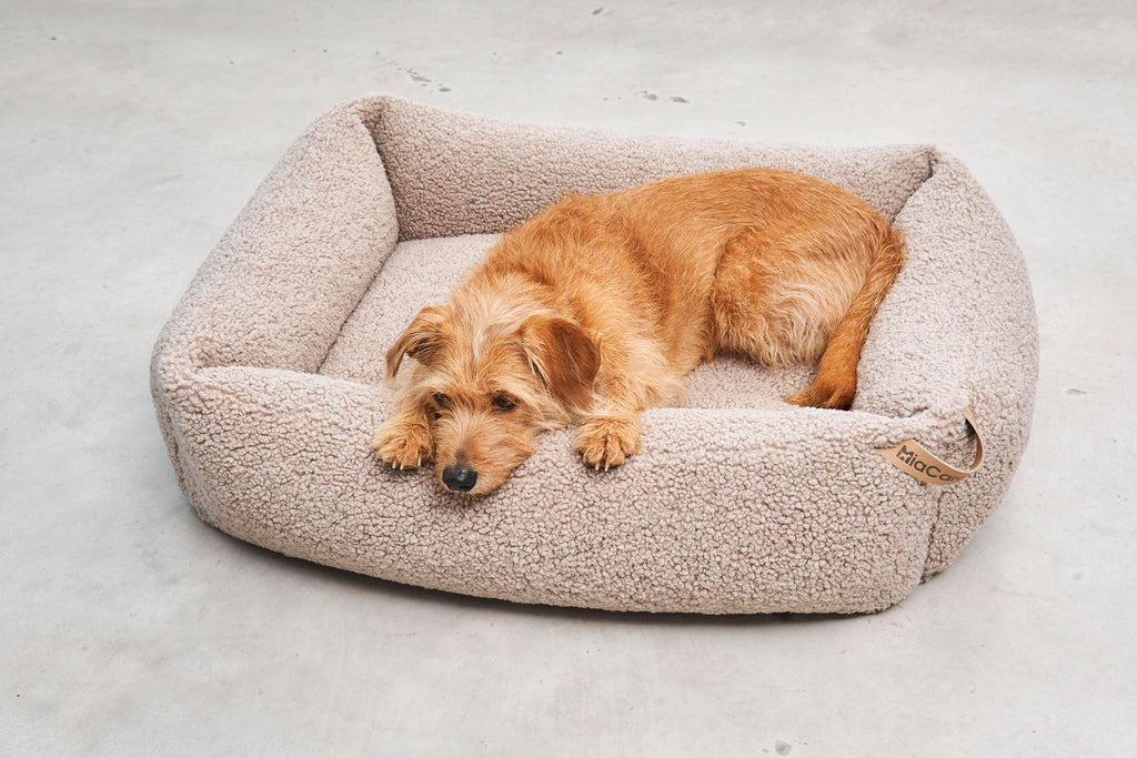 Senso Box Dog Bed - MiaCara