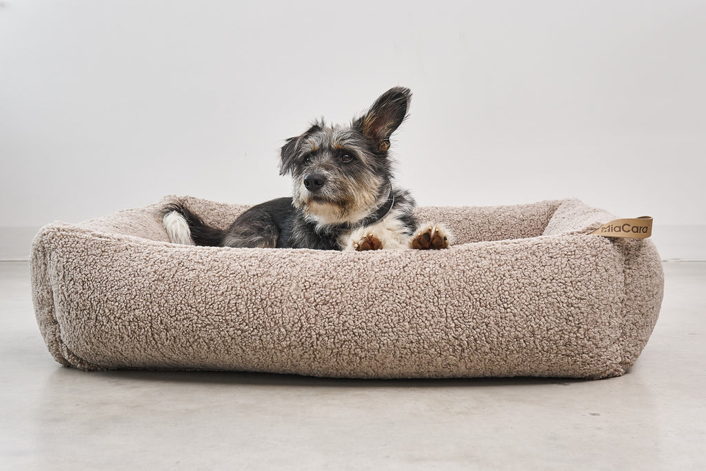 Senso Box Dog Bed - MiaCara