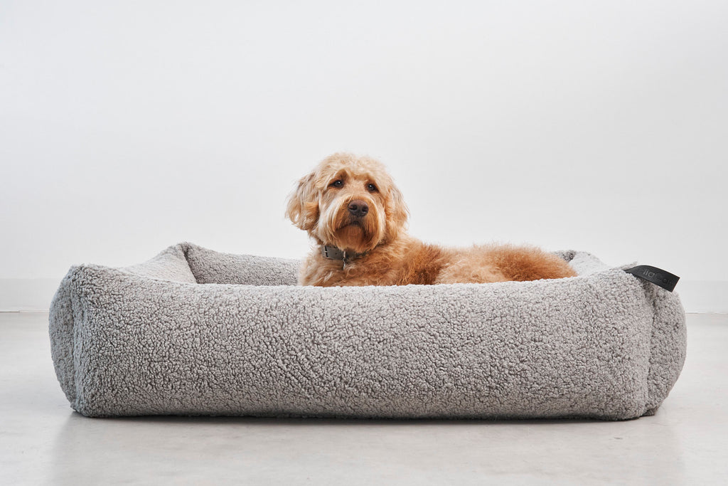 Senso Box Dog Bed - MiaCara