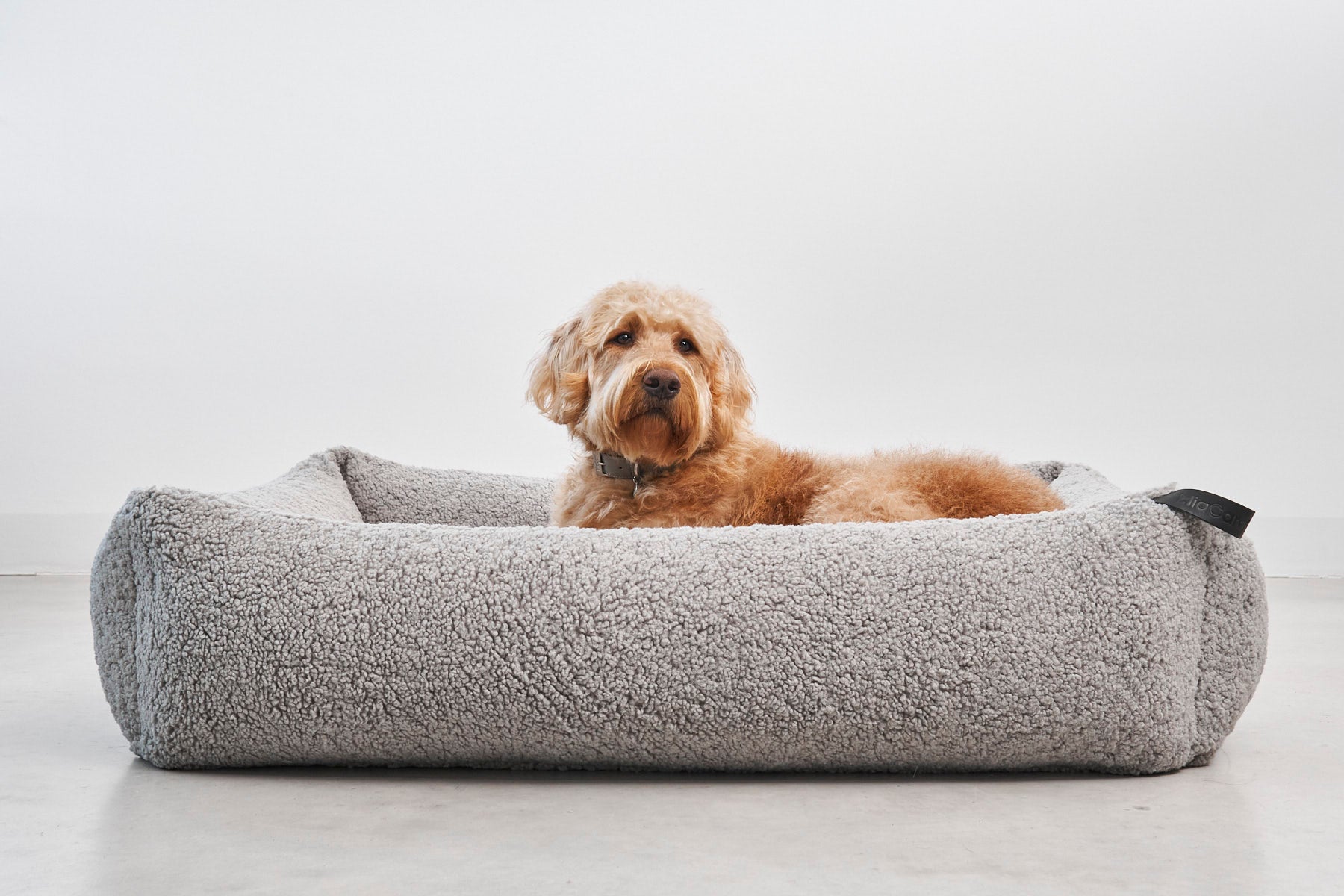 Senso Box Dog Bed - MiaCara