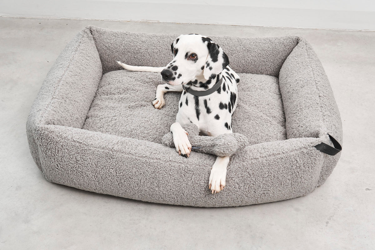 Senso Box Dog Bed - MiaCara