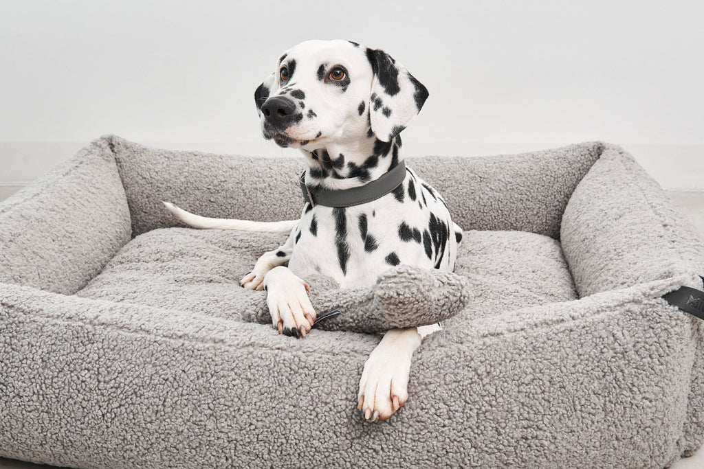 Senso Box Dog Bed - MiaCara