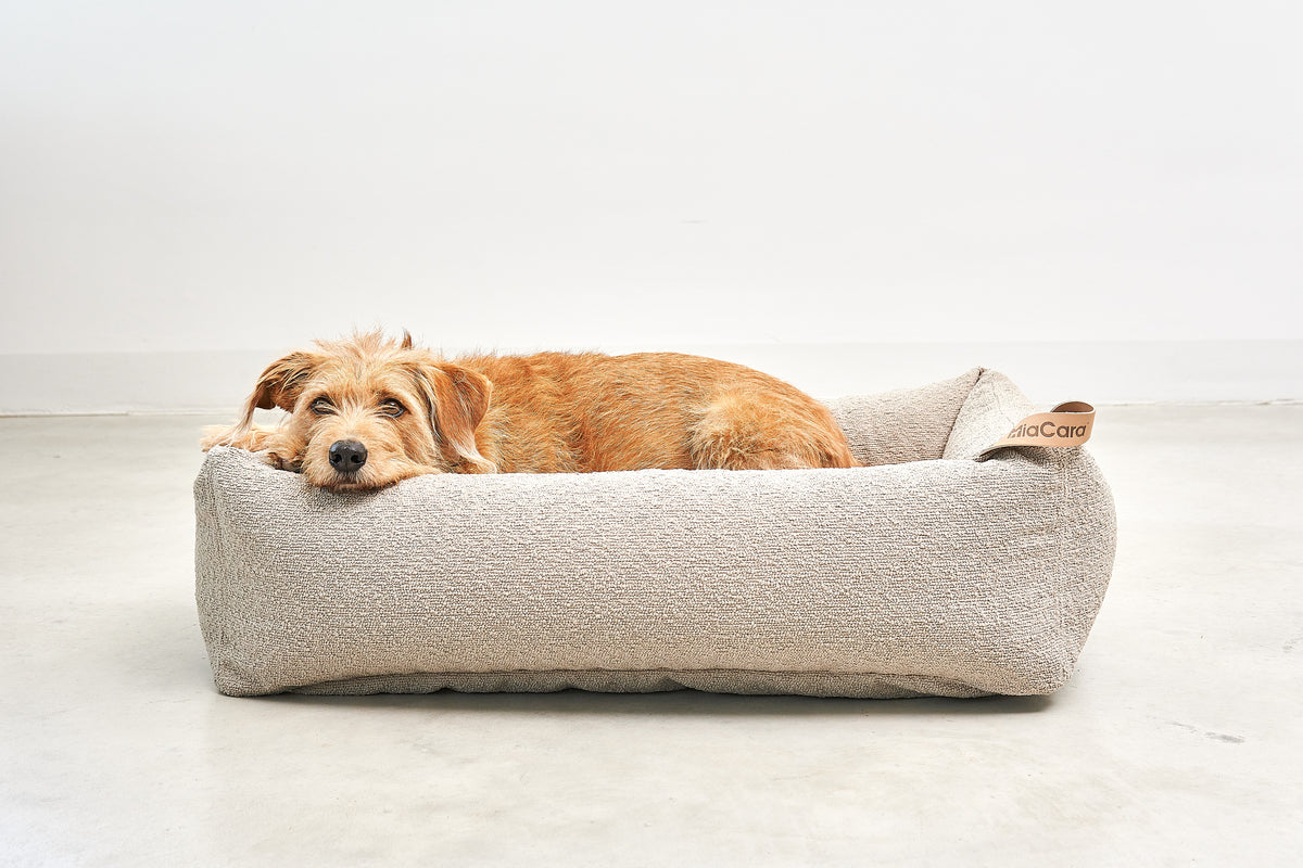 Mondo Dog Bed - MiaCara