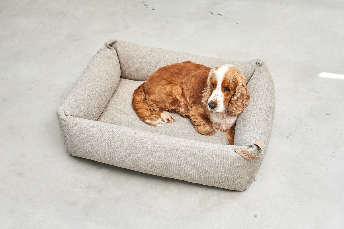 Mondo Dog Bed - MiaCara