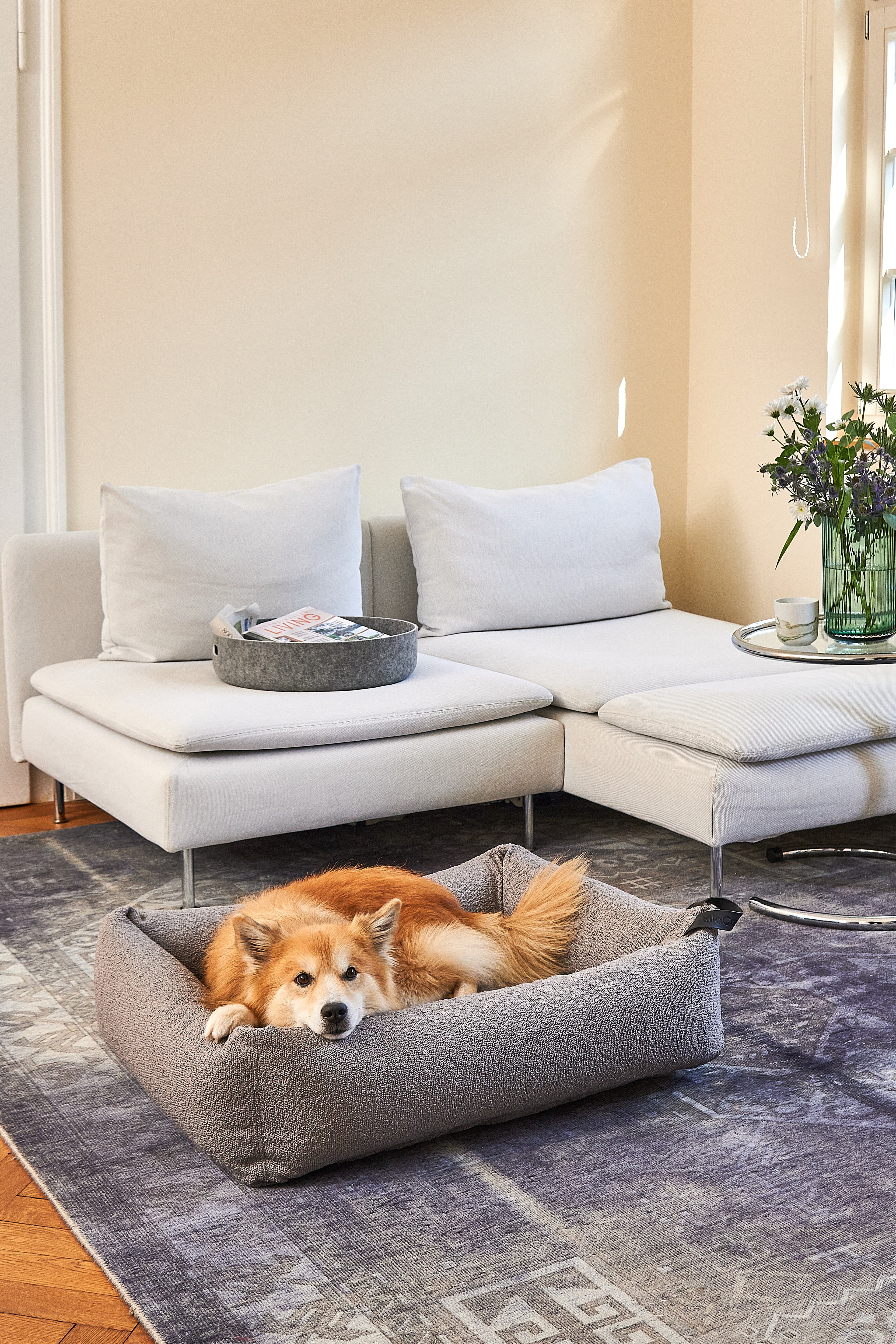 Mondo Dog Bed - MiaCara