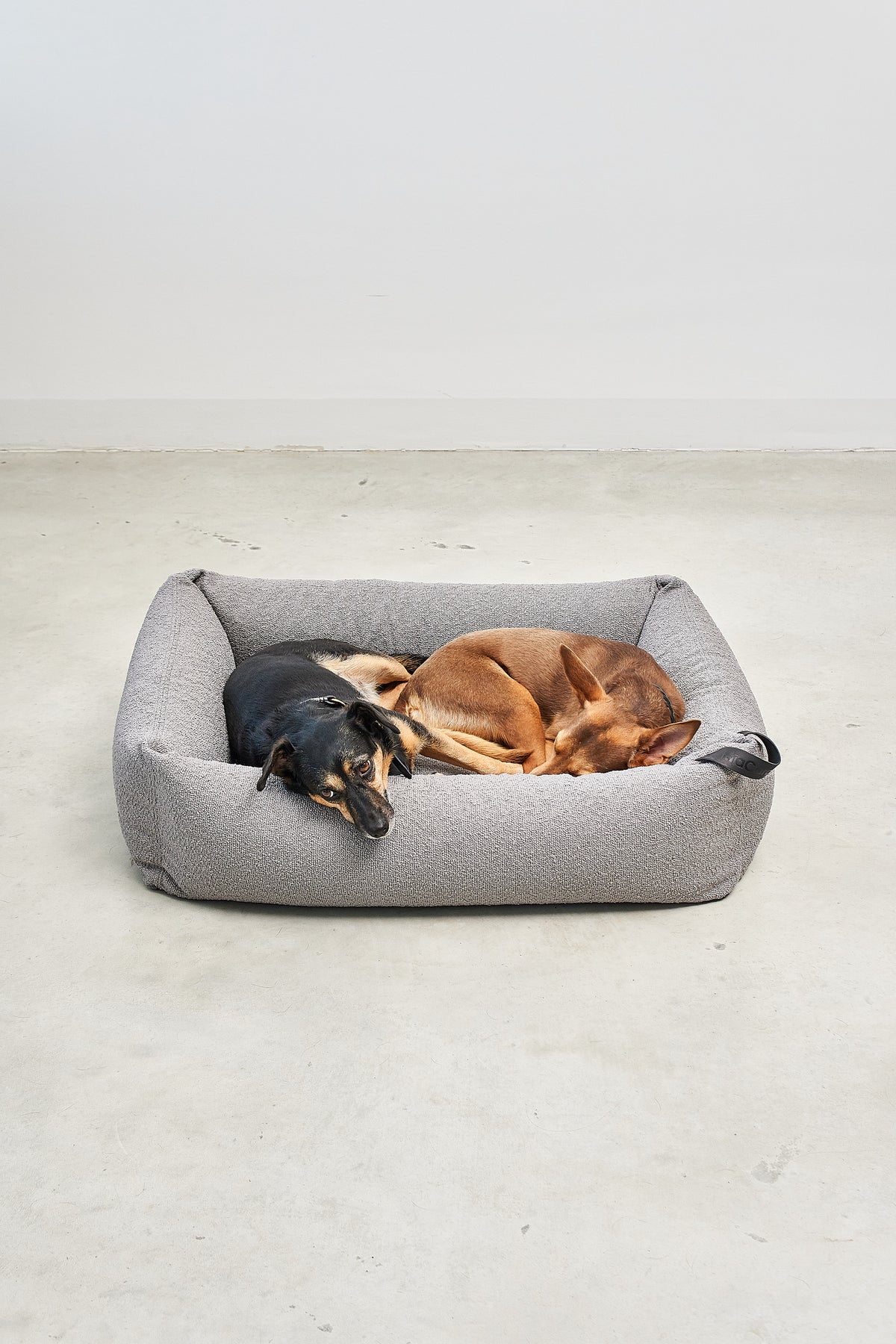 Mondo Dog Bed - MiaCara