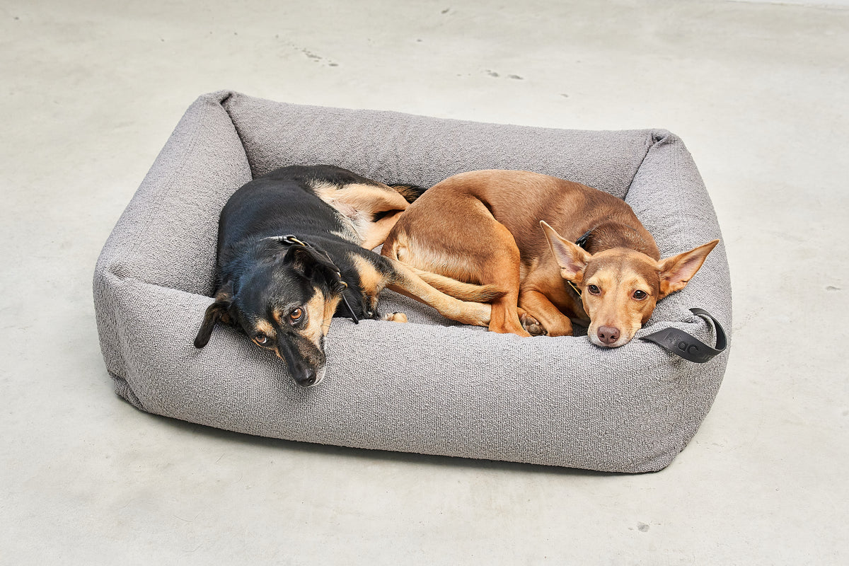 Mondo Dog Bed - MiaCara
