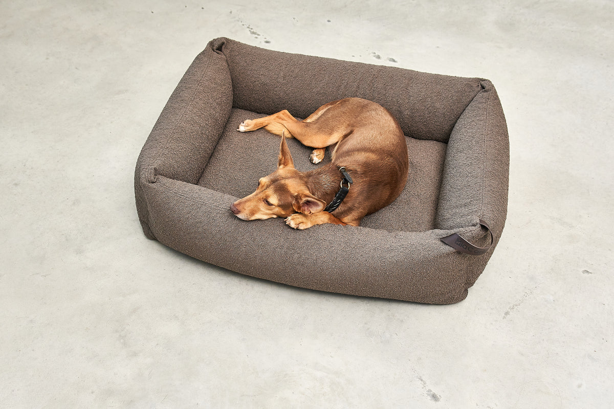 Mondo Dog Bed - MiaCara