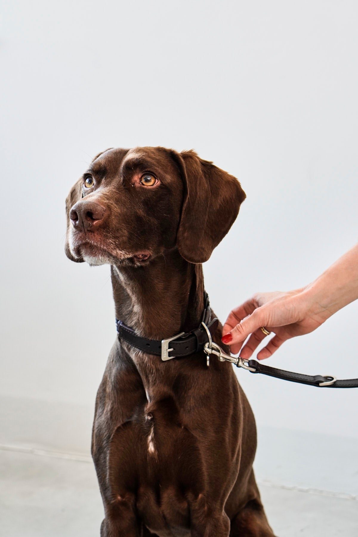 Bergamo Braided Leather Collar - MiaCara