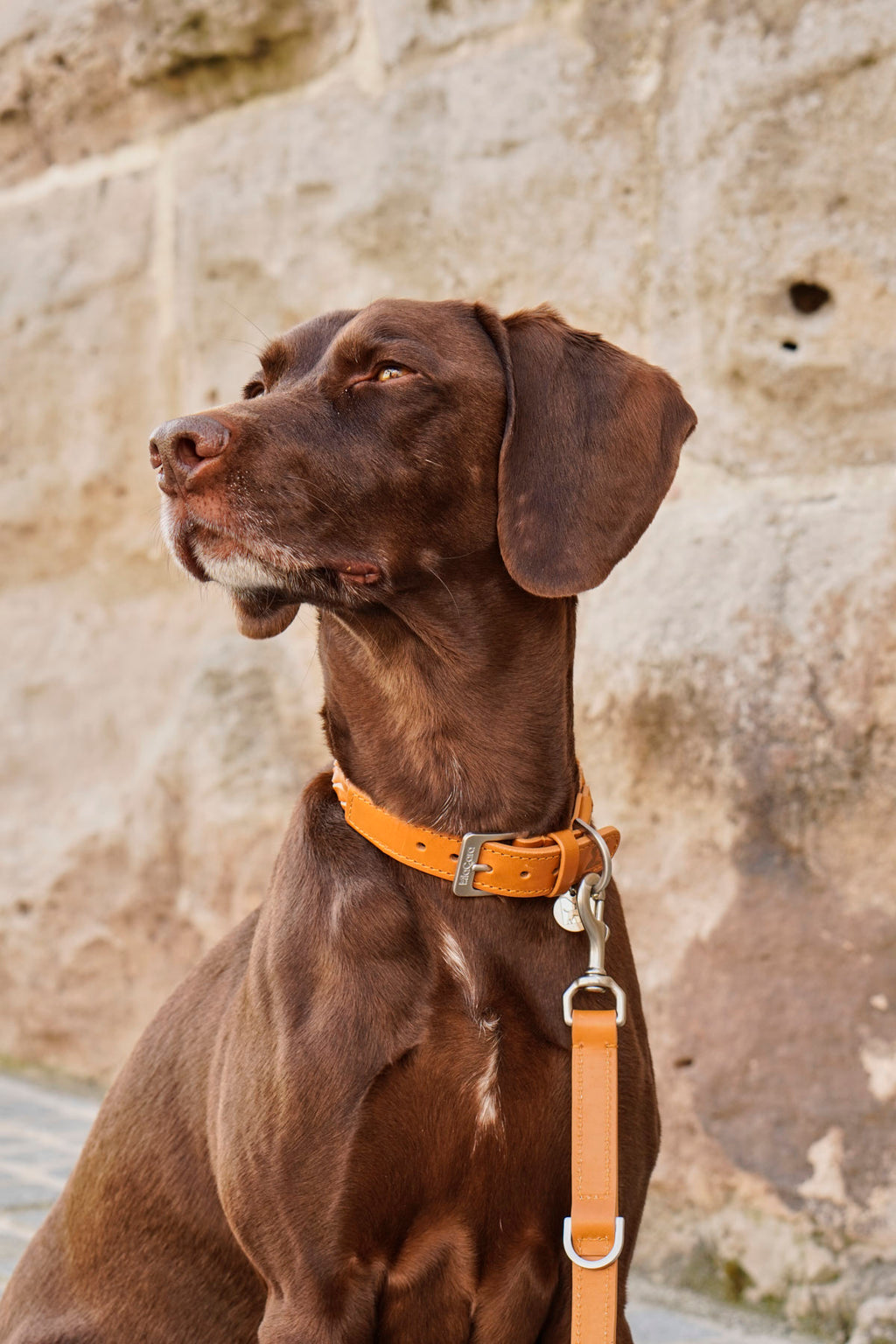 Bergamo Braided Leather Collar - MiaCara
