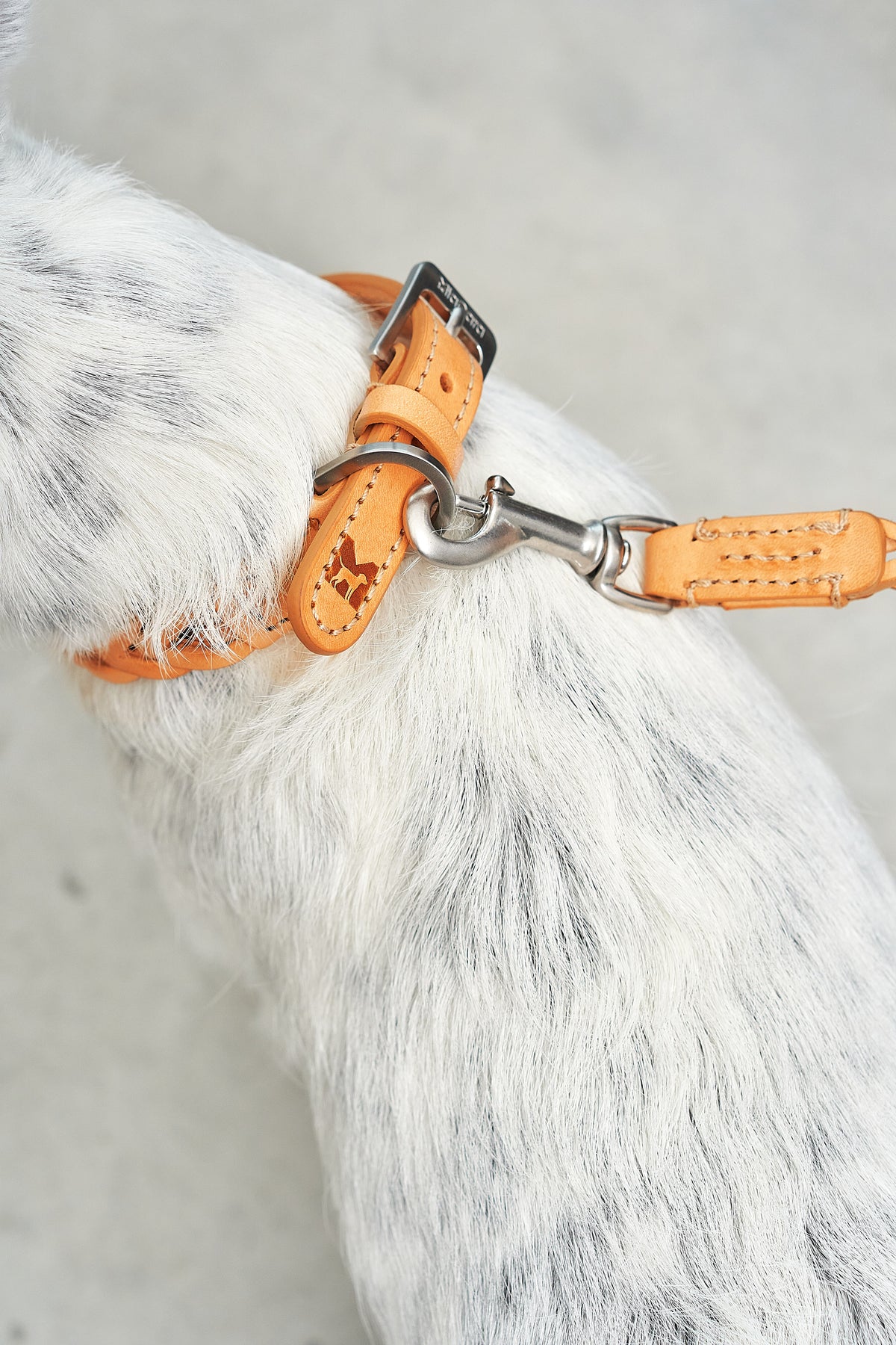 Bergamo Braided Leather Collar - MiaCara