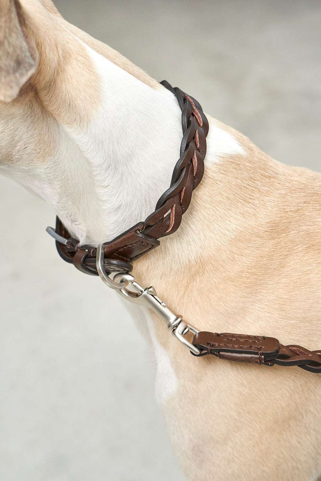 Bergamo Braided Leather Collar - MiaCara